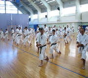 Кубок И.Йорга Тольятти 2009